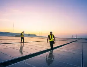 Utility workers walk through a solar installation 