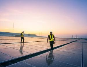 Utility workers walk through a solar installation 