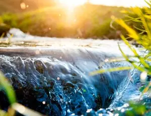A close-up image of water flowing through a natural grassy stream