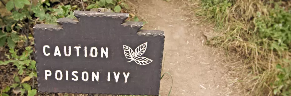 Caution Poison Ivy