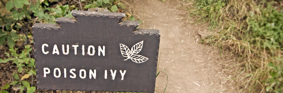 Caution Poison Ivy