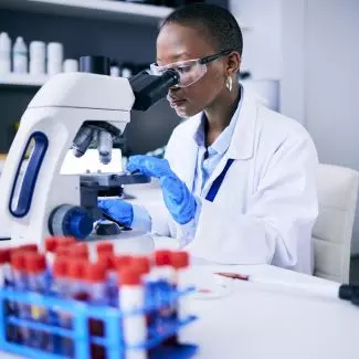 A researcher looks into a microscope in a lab setting