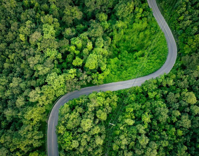 Globally, we continue to advocate for a formal standard for scope 4 emissions reporting.