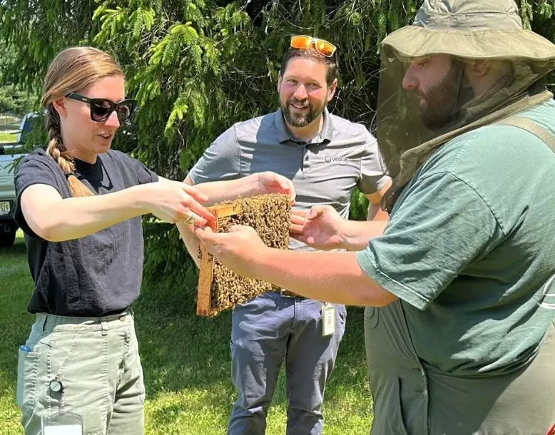 A team holds a section of beehive, working outdoors in a field together